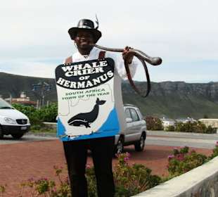 Whale Crier in Hermanus