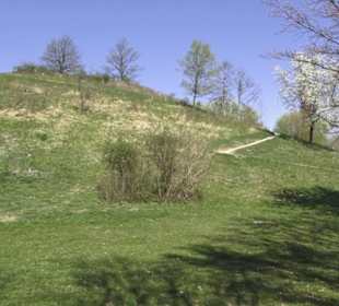 Sport- und Freizeitpark Markwasen