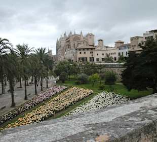 Palma de Mallorca