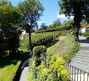 Kloster Strachov