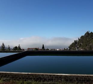 Wandern Teneriffa Kreaktiv Costa Adeje