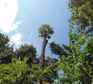 Stare Miasto Rethymno