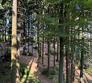 Waldwipfelweg St Englmar