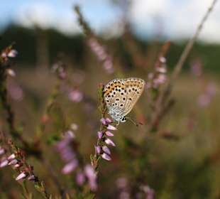 Wandern Bad Bevensen