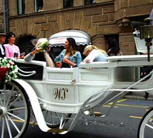 Trachtengruppe Stopfenheim Kutsche