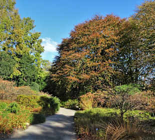 Rundgang durch den Botanischen Garten Hamburg