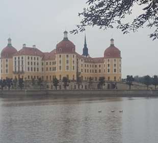 Blick auf Schloss Moritzburg
