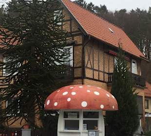 Wandern Bad Sachsa