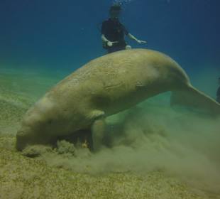 Highlight Marsa Egla