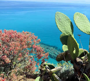 Meer Tropea