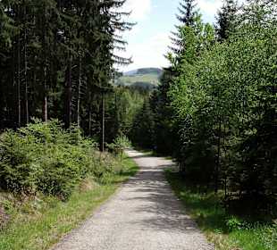 Hoch auf Forstwegen zur Kapelle