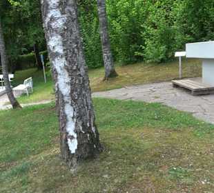 Kurpark