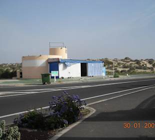 Hier befindet sich die Katzenstation