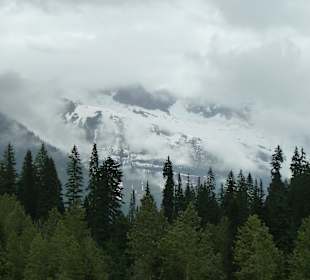 Rogers Pass