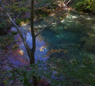 Горный нацпарк Истоки реки Уредерра, Наварра