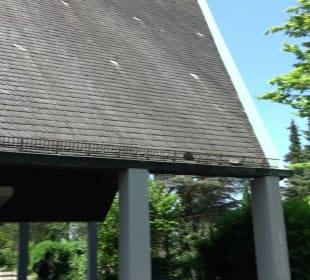 Friedhof Handschuhsheim