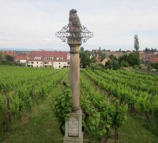 Vor dem Park Museum Folie Marco