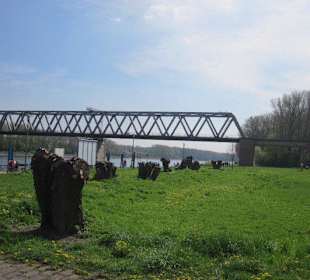 Promenade am Rhein in Germersheim