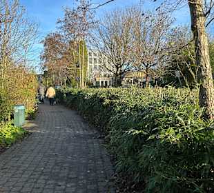 Weg weg vom Market Dome 