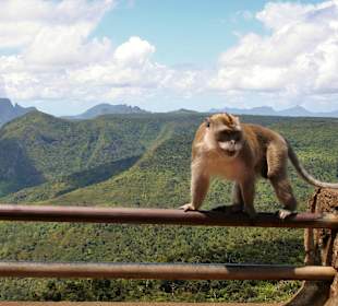 Aussichtspunkt Black River Falls