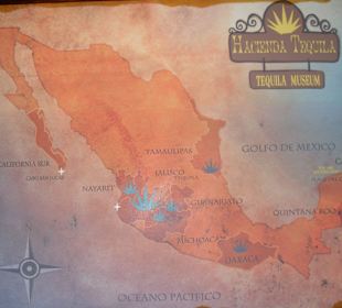 Plaza Kukulcan - kleine Ausstellung im Tequilashop