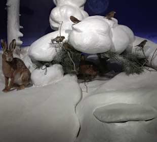 Naturparkzentrum Ruhestein