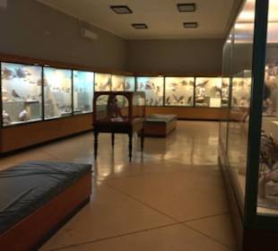 Naturhistorisches Museum