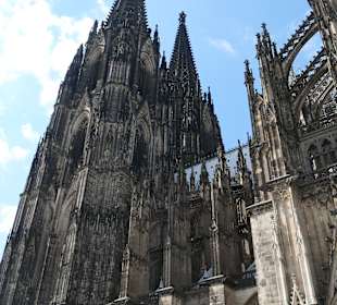 Blick zum Kölner Dom