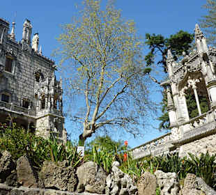Blick vom Garten auf Schloß Quinta da Regaleira
