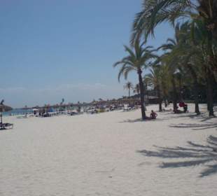 Strand von Alcudia