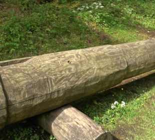 Phäno-Pfad Aichstetten