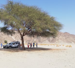 Wadi el Gemal National Park