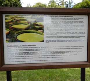 Botanischer Garten Pamplemousses