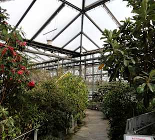 Impressionen aus den Gewächshäusern