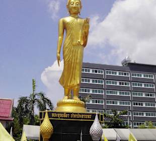 Buddhastatue mitten auf dem Gelände