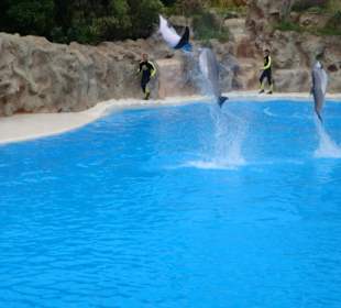 Shows und Unterhaltung