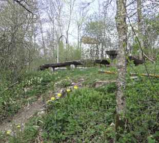 Wanderweg Hochgehswiggert