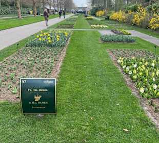 Keukenhof Holland
