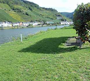 Am Moselufer