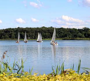 Zalew Mrożyczka - znajduje się tu Zatoka ZHP z żag