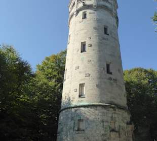 Rundwanderweg Taubenberg