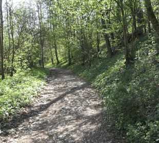 Ruine Maisenburg