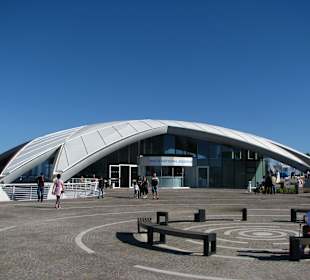 Das neue Aquarium gerade fertiggestellt