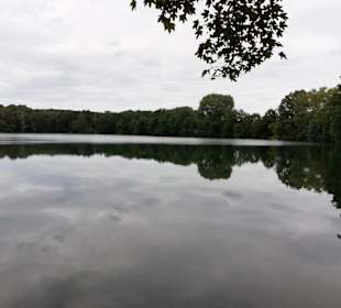 Rensinger See in Kellinghusen