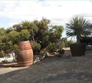 Bodega El Grifo