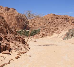 Oase am Ende der Schlucht