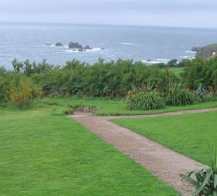 Lizard Point