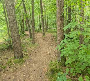 Naturschutz pur