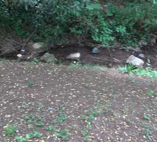 Krügerpark