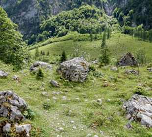 Über schöne Wiesen...
